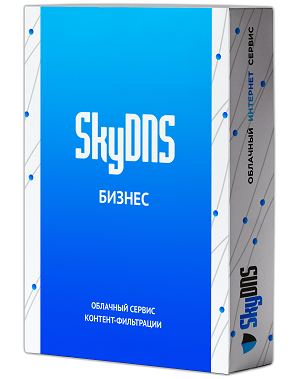 SkyDNS.Бизнес