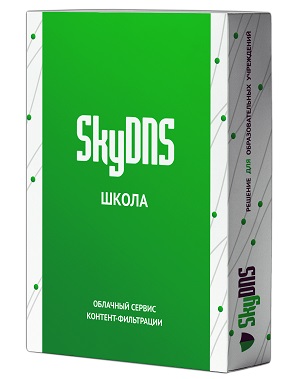 SkyDNS.Школа