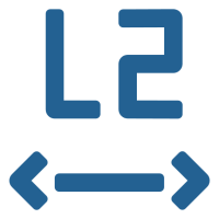 ViPNet L2