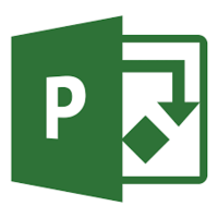 Project Pro